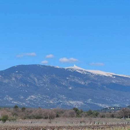Mon Ventoux Vila Modene Exterior foto